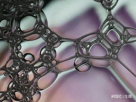 向植物和微生物「索取」清潔力 世界首座商業化鼠李糖脂工廠即將落地